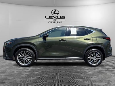 2024 Lexus NX 350 Luxury