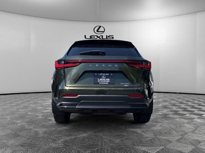 2024 Lexus NX 350 Luxury