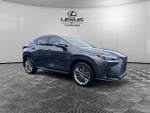 2024 Lexus NX 350 Luxury