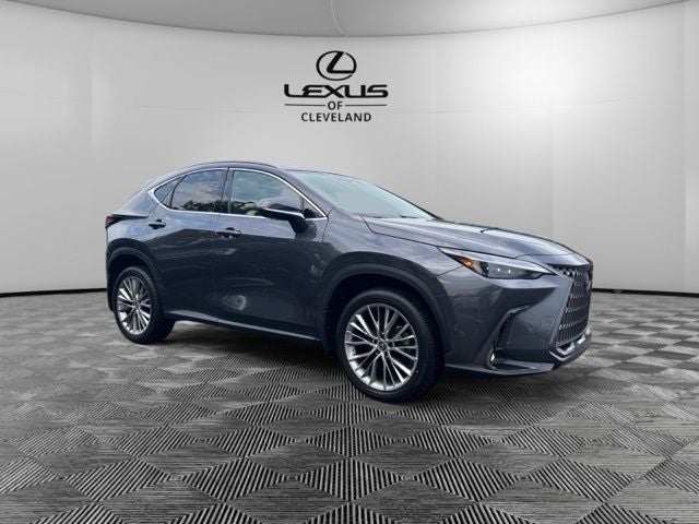 2024 Lexus NX 350 Luxury