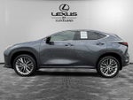 2024 Lexus NX 350 Luxury