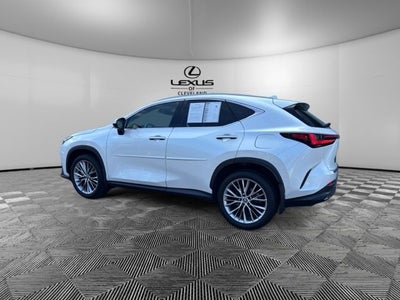 2025 Lexus NX 350h Luxury