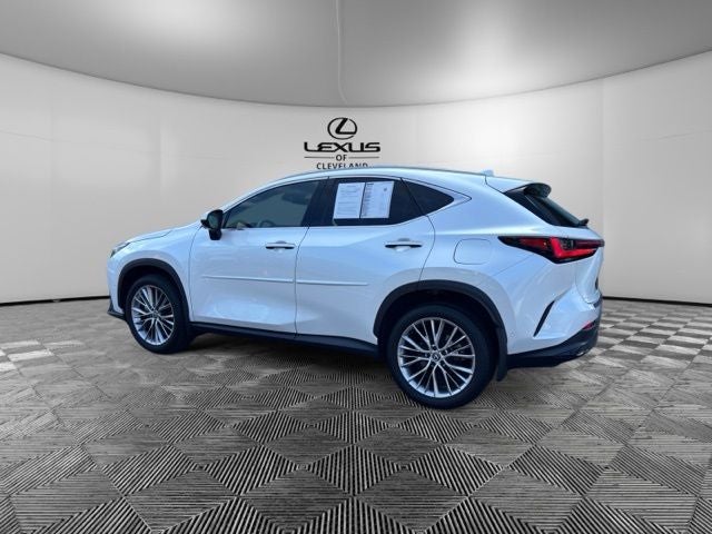2025 Lexus NX 350h Luxury