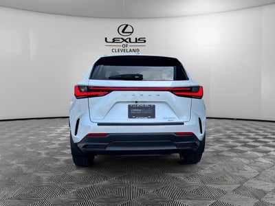 2025 Lexus NX 350h Luxury
