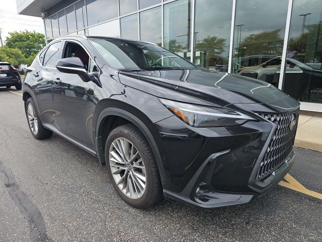 2025 Lexus NX 350h Luxury