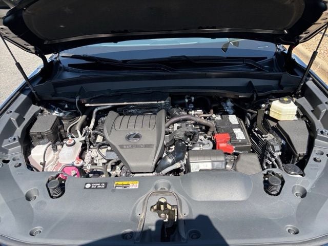 2024 Lexus TX 350 Premium