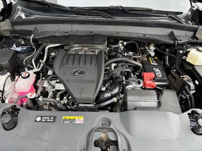2024 Lexus TX 350