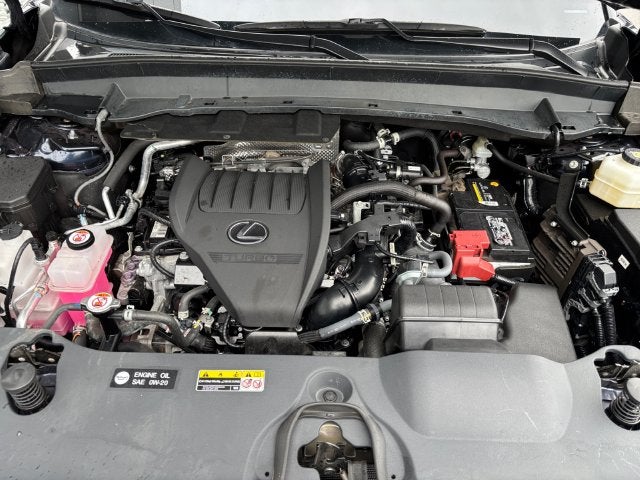 2024 Lexus TX 350
