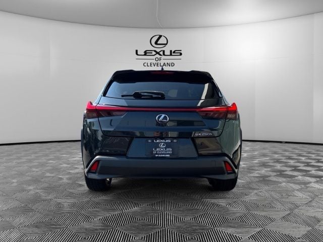 2021 Lexus UX 250h Base