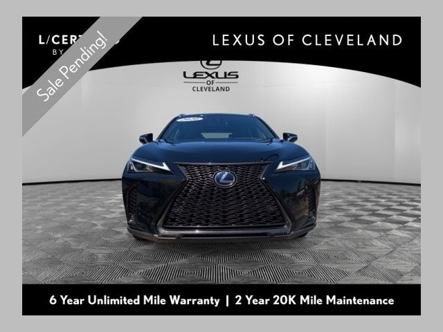 2020 Lexus UX 300h 250h F SPORT AWD's photo