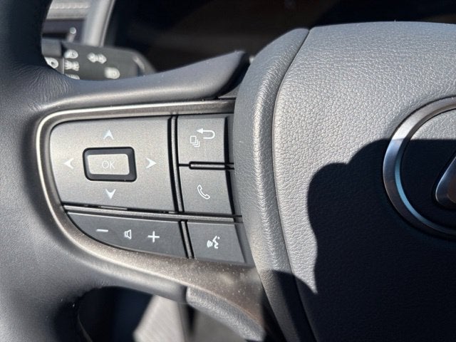 2025 Lexus UX 300h Premium