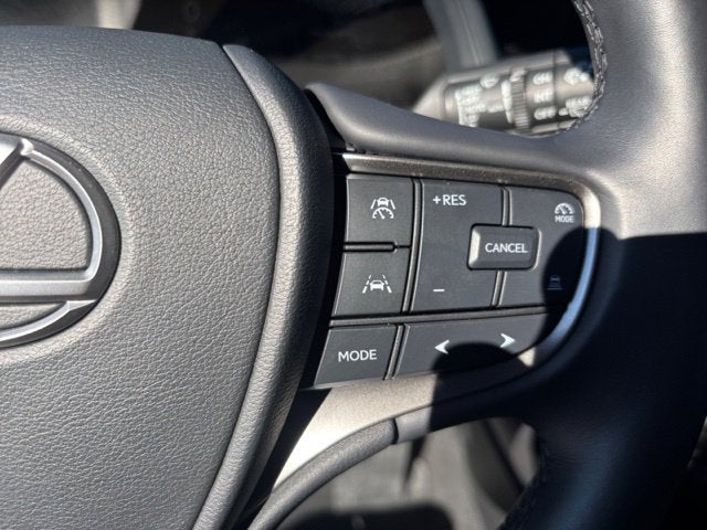 2025 Lexus UX 300h Premium