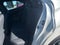 2025 Lexus UX 300h Premium