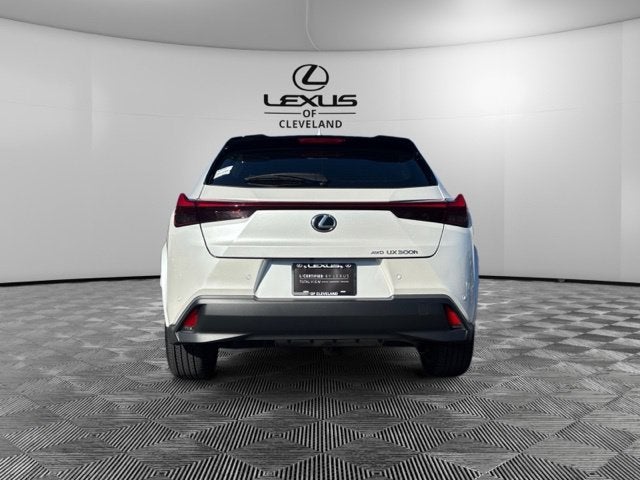 2025 Lexus UX 300h Premium