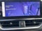 2025 Lexus UX 300h Premium