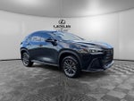 2024 Lexus NX 350 Base