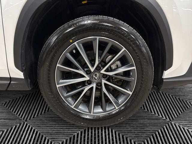 2023 Lexus NX 350h Base