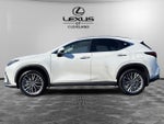 2025 Lexus NX 350 Luxury