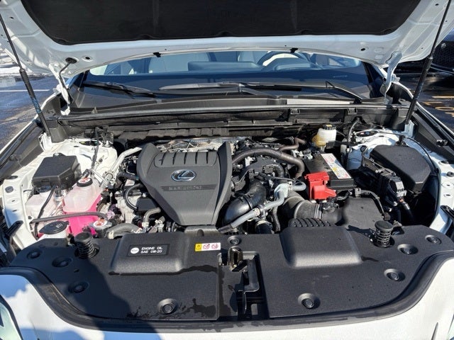 2025 Lexus NX 350 Luxury