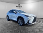 2025 Lexus NX 350 Luxury