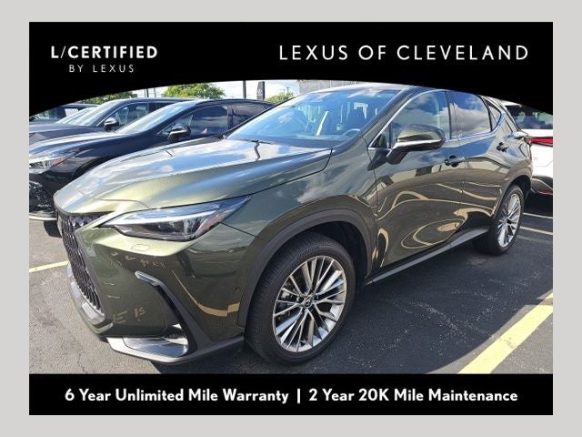 2025 Lexus NX 350h Luxury