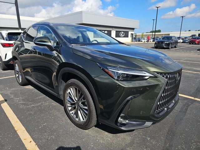 2025 Lexus NX 350h Luxury