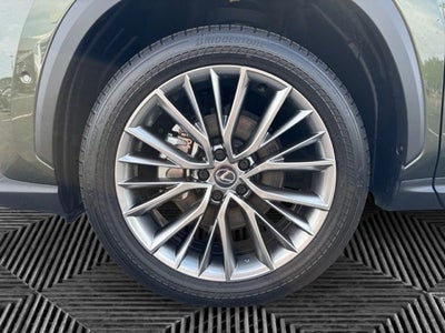 2025 Lexus NX 350h Luxury