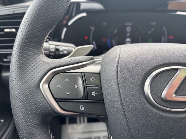 2025 Lexus NX PHEV 450h+ - Photo 15