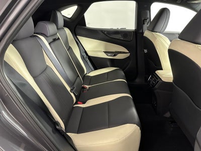 2024 Lexus NX 350 Base
