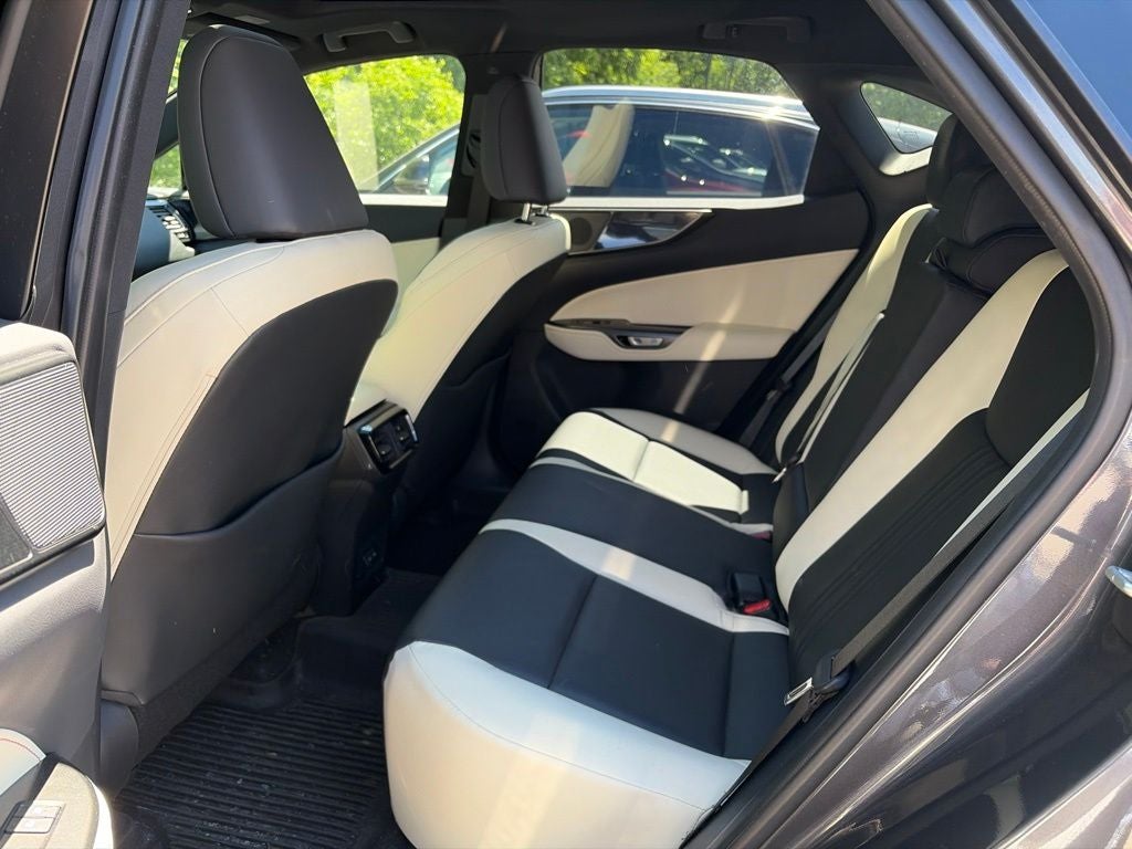 2024 Lexus NX 350 Base