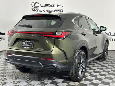 2023 Lexus NX 350 Premium