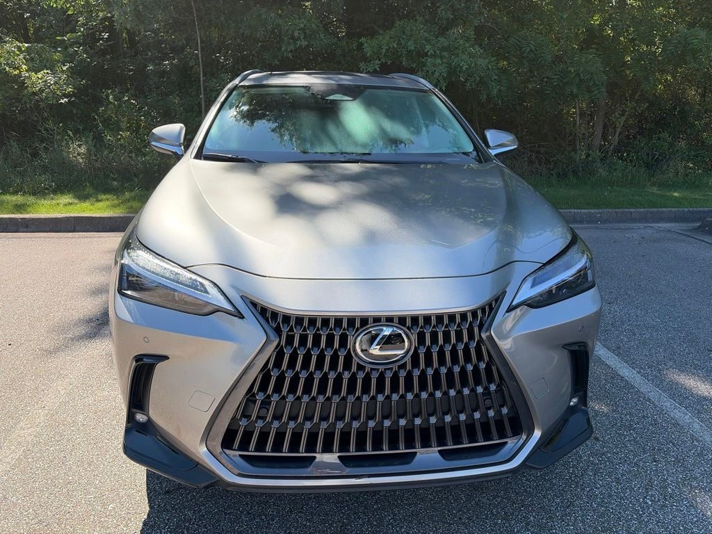 2024 Lexus NX 350h Premium