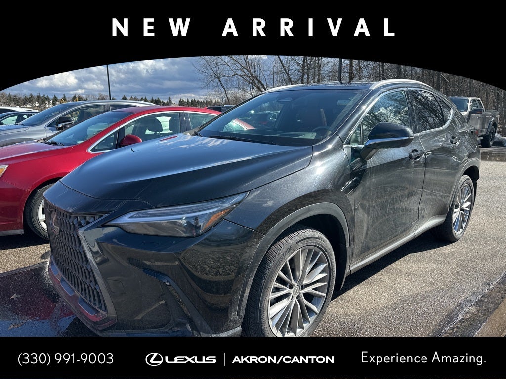 2024 Lexus NX 350 Luxury