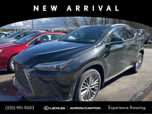 2024 Lexus NX 350 Luxury