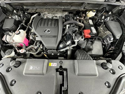 2024 Lexus NX 350 Luxury