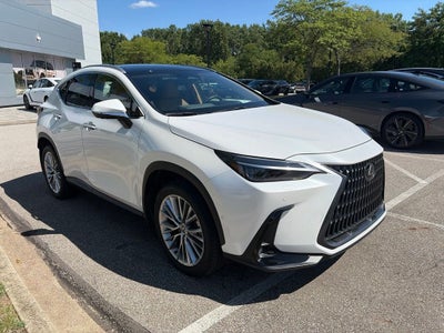 2025 Lexus NX 350 Luxury