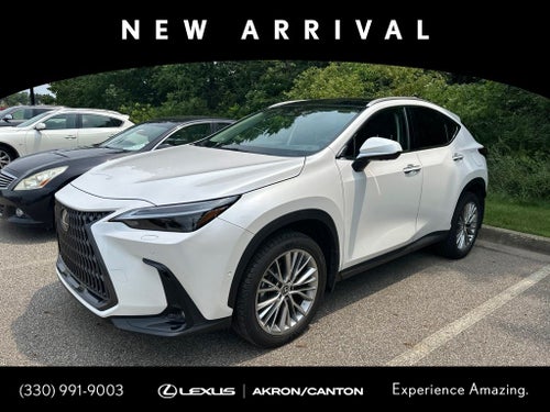 2024 Lexus NX 350h Luxury