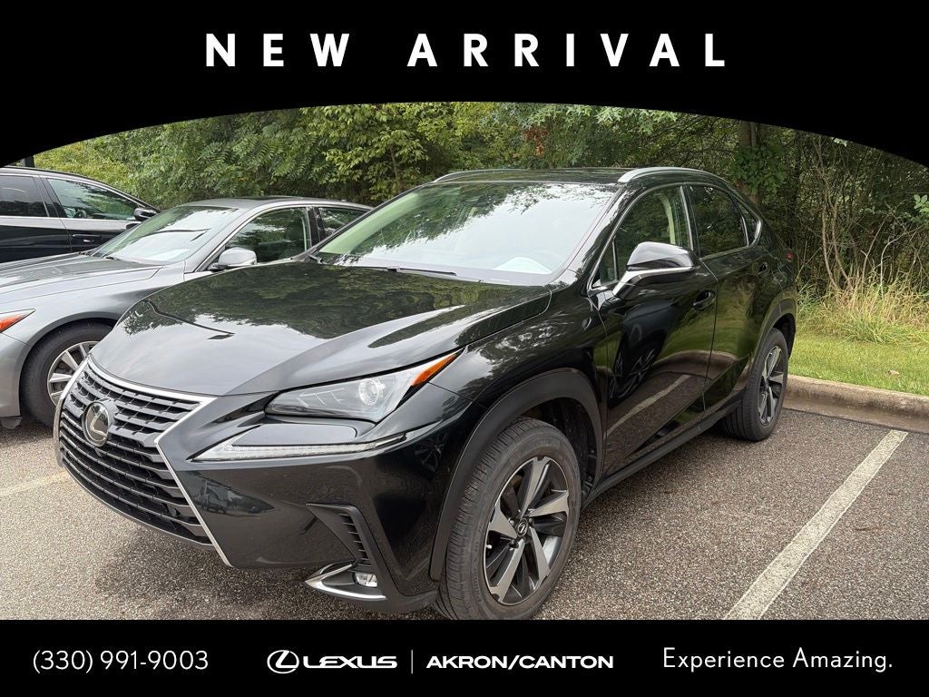 2020 Lexus NX 300 Premium