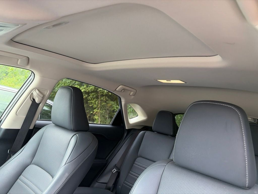 2020 Lexus NX 300 Premium