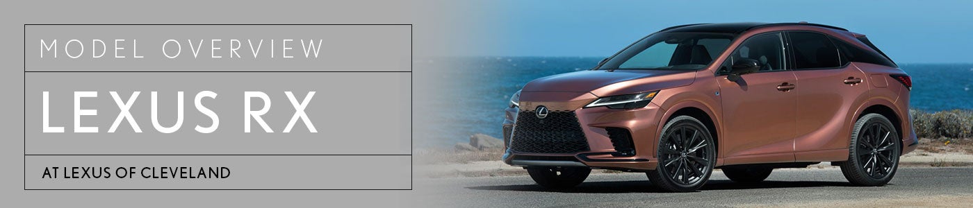 Lexus RX Specs, Review, Price, & Trims at Metro Lexus