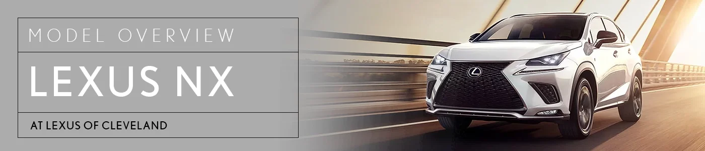 LEXUS NX Overview